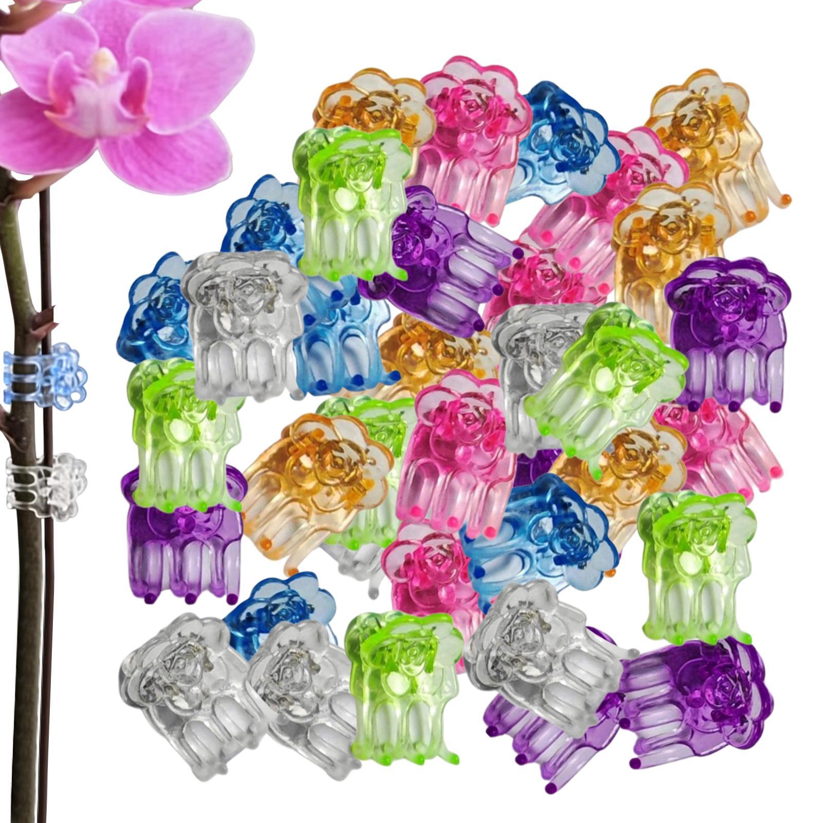 Orchid Clips 60 Pieces Butterf - Florist Supp ulasan dan harga