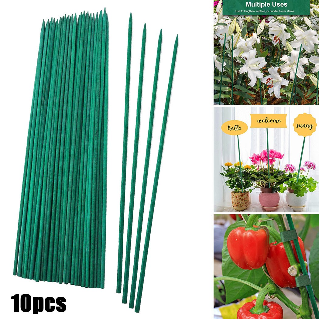 10pcs 40cm Green Plant Support - Florist Supp ulasan dan harga