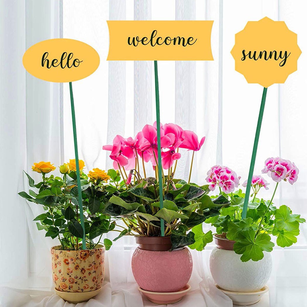 10pcs 40cm Green Plant Support - Florist Supp ulasan dan harga