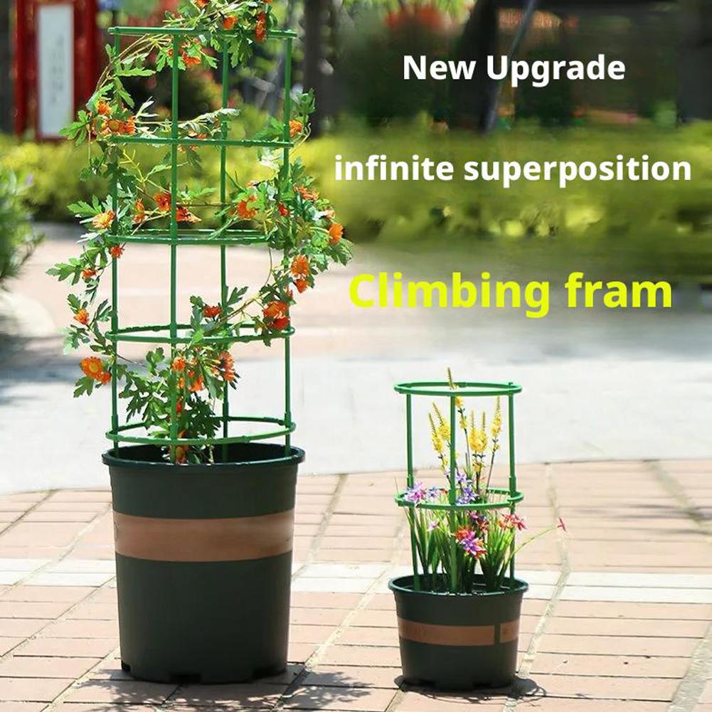 Tomato Cages Trellis Plastic C - Florist Supp ulasan dan harga