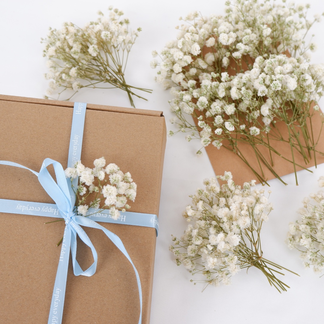Dried Flowers White Mini Dried - Baby Breath Dried ulasan dan harga