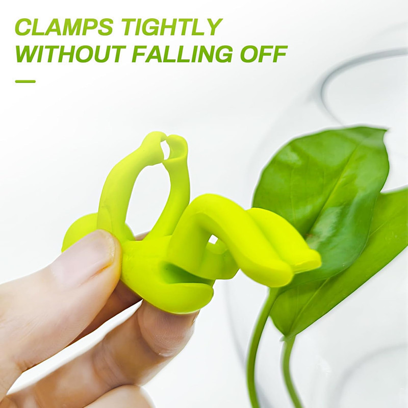 Hydroponic Plant Fixing Figuri - Florist Supp ulasan dan harga