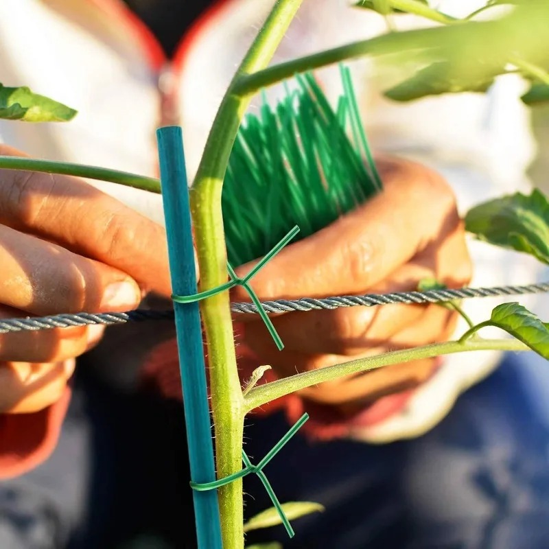 Plant Support Sticks Canes Bam - Florist Supp ulasan dan harga