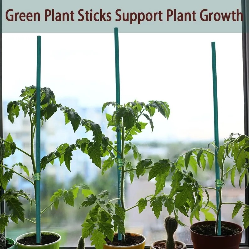 Plant Support Sticks Canes Bam - Florist Supp ulasan dan harga