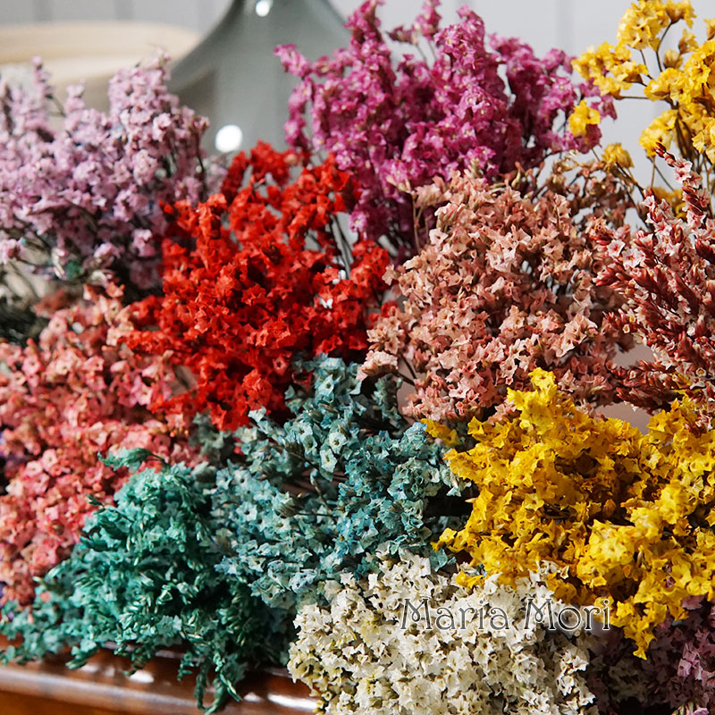 5g/ Colorful Dired Preserved C - Baby Breath Dried ulasan dan harga