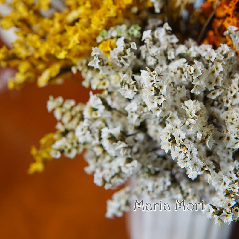 5g/ Colorful Dired Preserved C - Baby Breath Dried ulasan dan harga