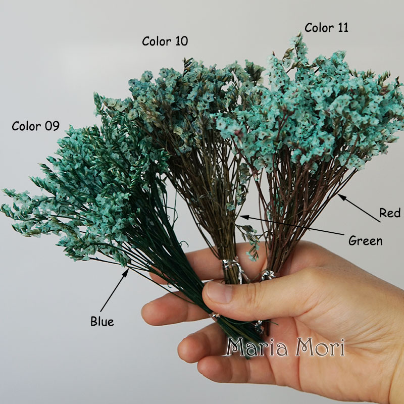 5g/ Colorful Dired Preserved C - Baby Breath Dried ulasan dan harga