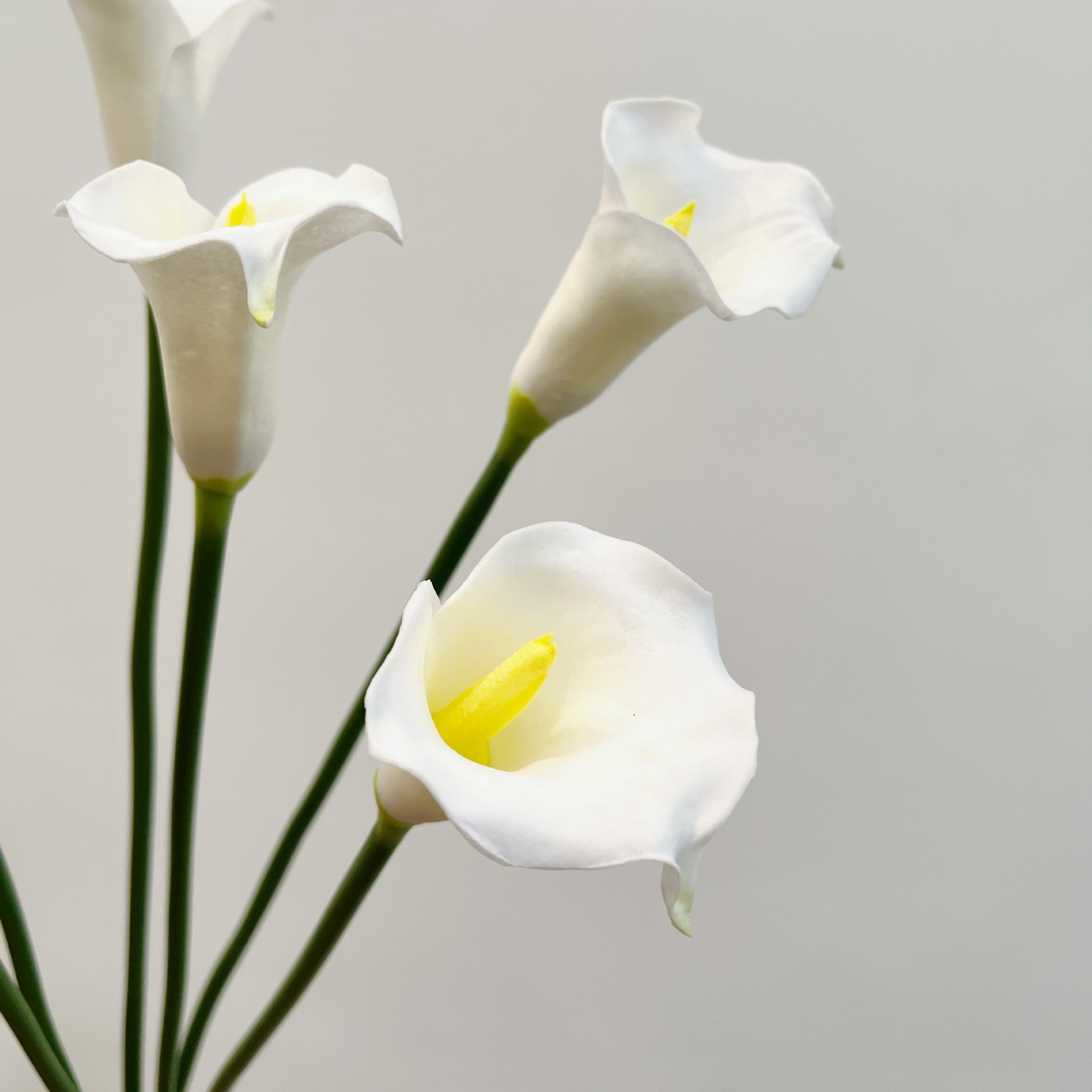 26 Inch Single Stem Crescent C - Florist Supp ulasan dan harga