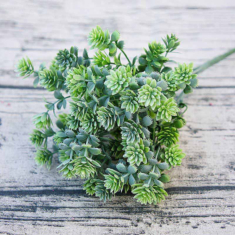 Plastic Succulent plants artif - Baby Breath Dried ulasan dan harga