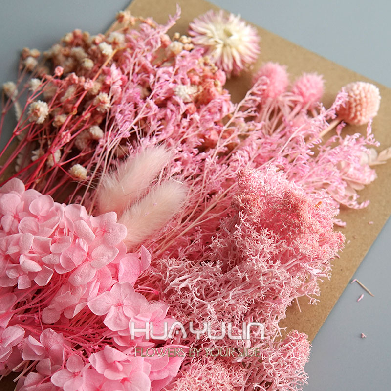 1 Pack Artificial Plants Dried - Baby Breath Dried ulasan dan harga