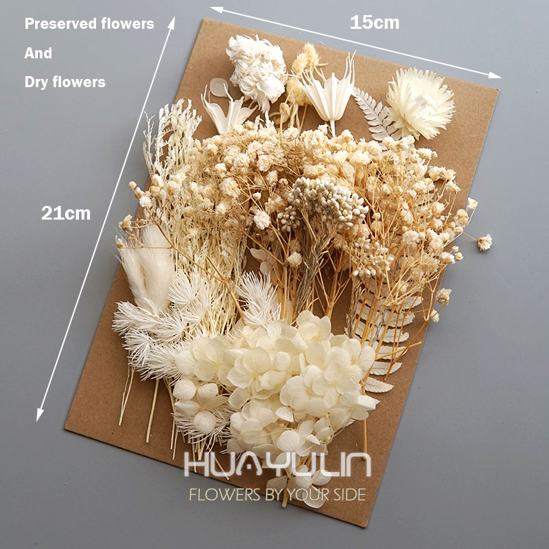 1 Pack Artificial Plants Dried - Baby Breath Dried ulasan dan harga
