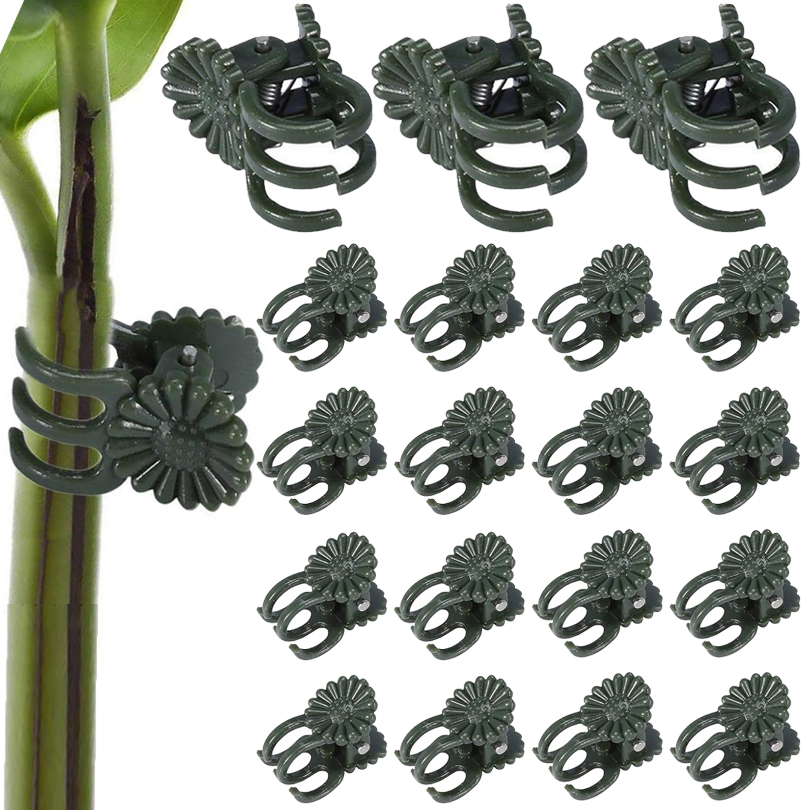 20/50/100PCS Plant Clips Vine  - Florist Supp ulasan dan harga