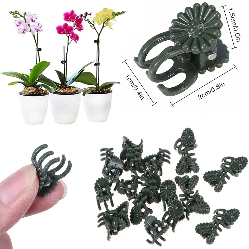 20/50/100PCS Plant Clips Vine  - Florist Supp ulasan dan harga