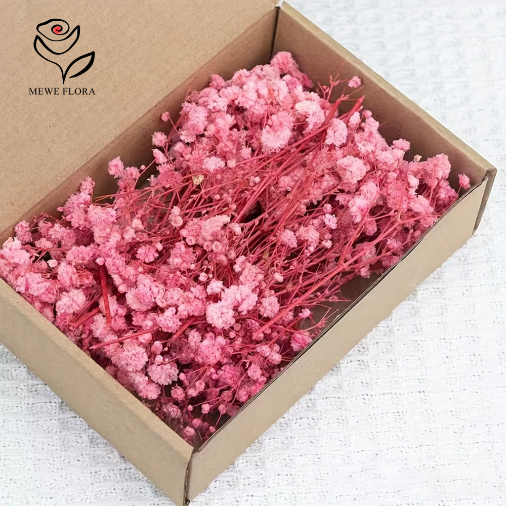 100 Small Branch Dried Baby's  - Baby Breath Dried ulasan dan harga