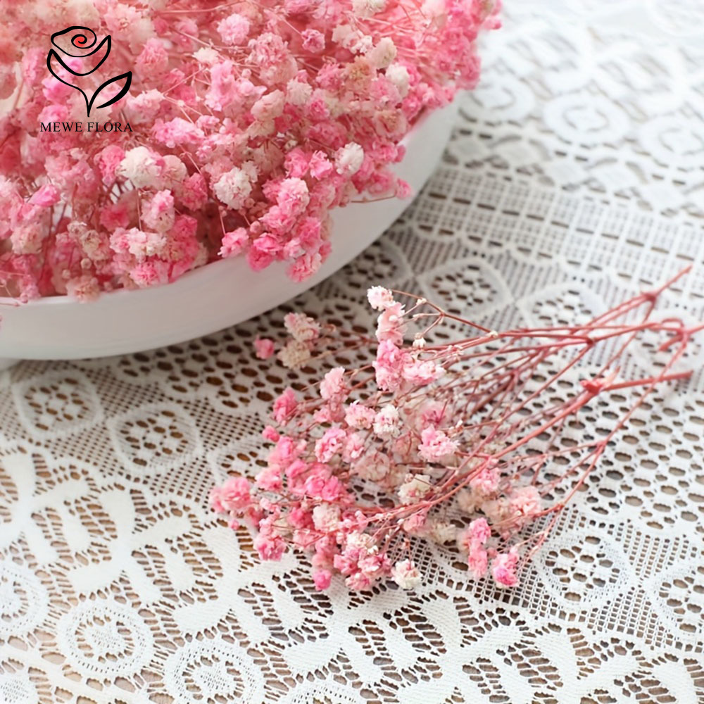 100 Small Branch Dried Baby's  - Baby Breath Dried ulasan dan harga